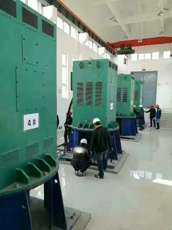 仙游某污水处理厂使用我厂的立式高压电机安装现场